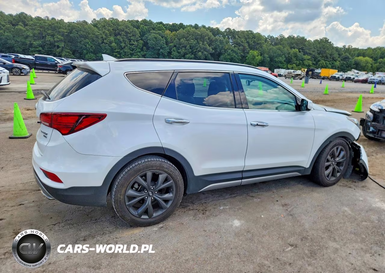 2017 Hyundai Santa Fe Sport 2.0T Ultimate VIN:5XYZW4LA5HG394828 - 3