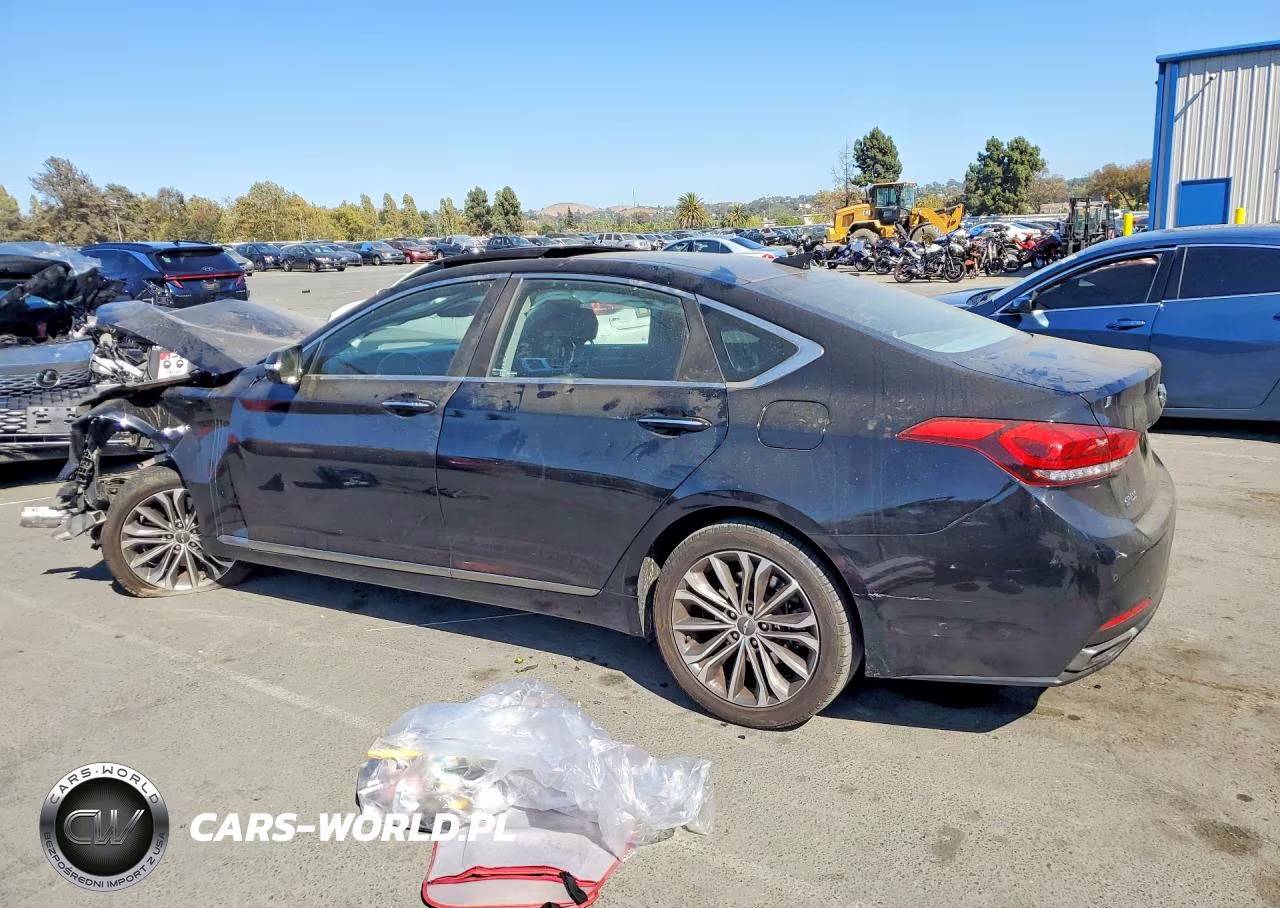 2015 Hyundai Genesis VIN:KMHGN4JE7FU046472 - 2