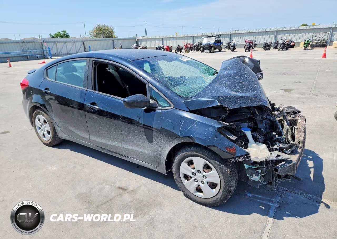 2016 Kia Forte Lx VIN:KNAFK4A62G5605825 - 4