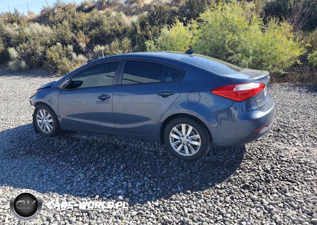 2016 Kia Forte Lx VIN:KNAFX4A6XG5560148 - 2