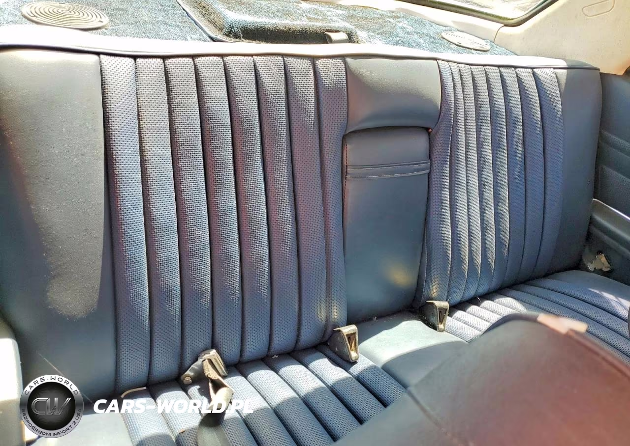 1973 Mercedes-Benz 450 Slc VIN:10702412003746 - 10