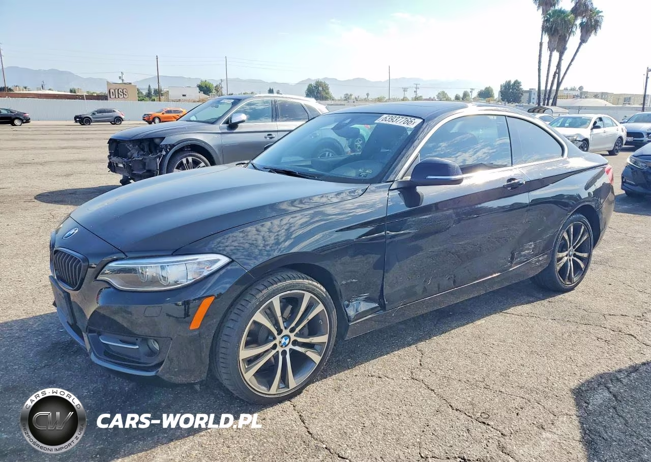 2017 BMW 230I