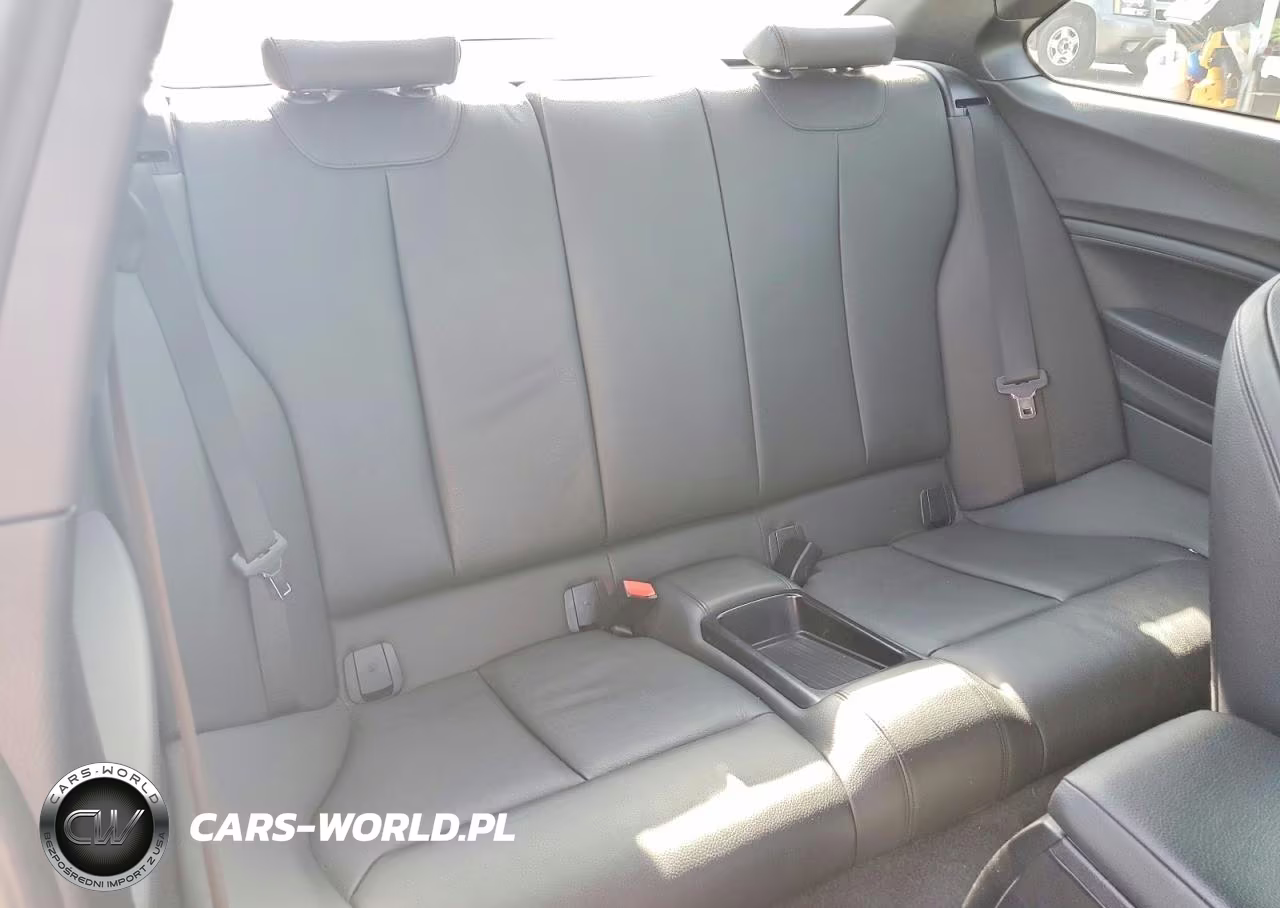2017 BMW 230I VIN:WBA2F9C39HV984150 - 10