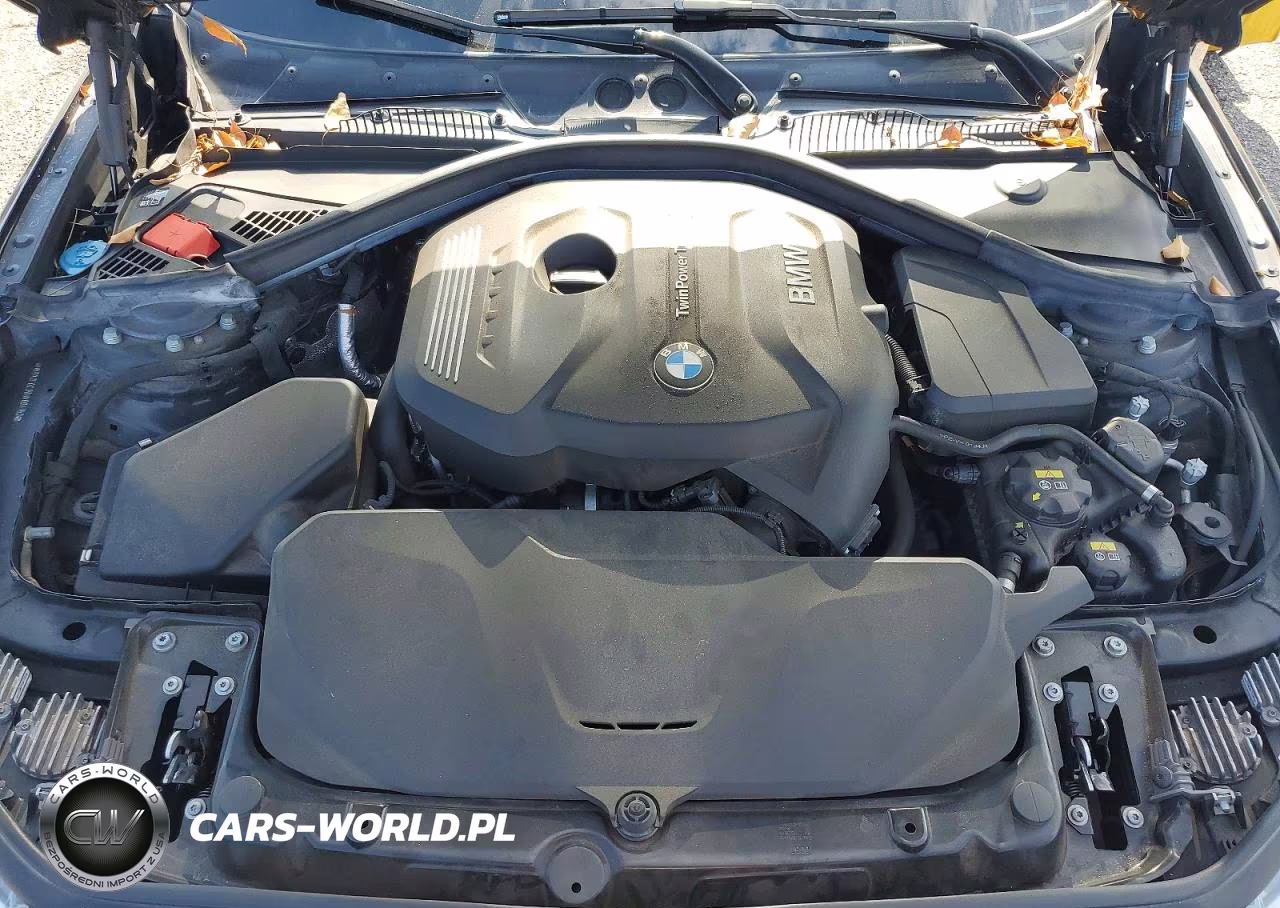 2017 BMW 230I VIN:WBA2F9C39HV984150 - 11