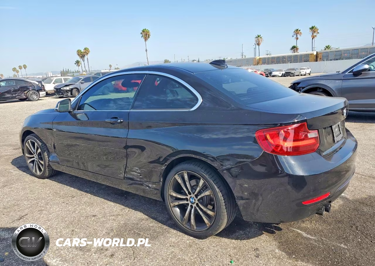 2017 BMW 230I VIN:WBA2F9C39HV984150 - 2