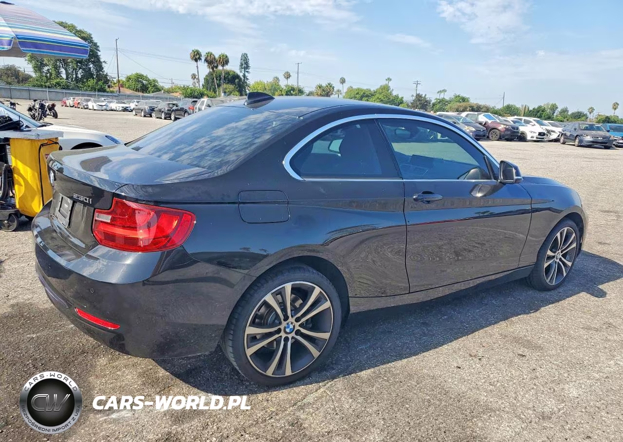 2017 BMW 230I VIN:WBA2F9C39HV984150 - 3