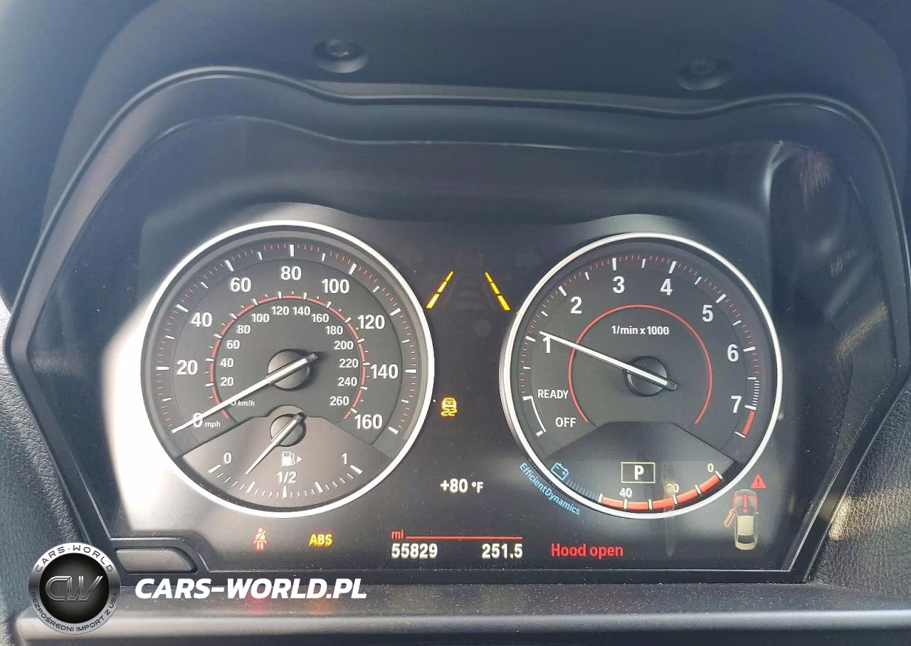 2017 BMW 230I VIN:WBA2F9C39HV984150 - 9