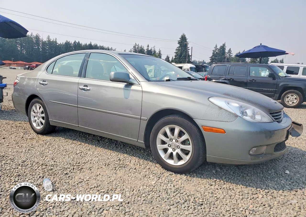 2002 Lexus Es 300 VIN:JTHBF30G220041737 - 4