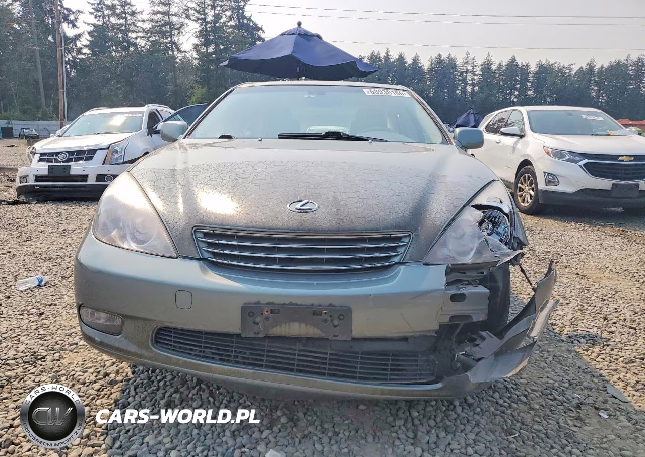 2002 Lexus Es 300 VIN:JTHBF30G220041737 - 5