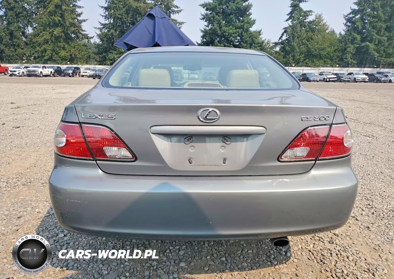 2002 Lexus Es 300 VIN:JTHBF30G220041737 - 6