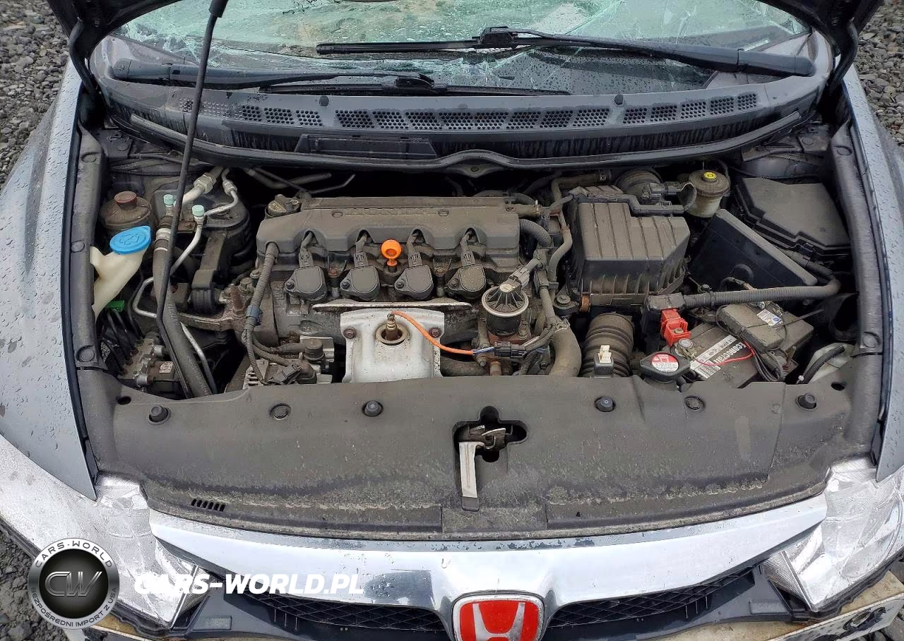 2010 Honda Civic Lx VIN:19XFA1F5XAE020491 - 11