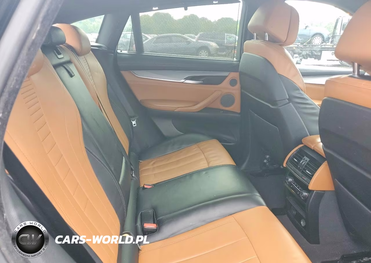 2017 BMW X6 xDrive35I VIN:5UXKU2C3XH0U29381 - 11