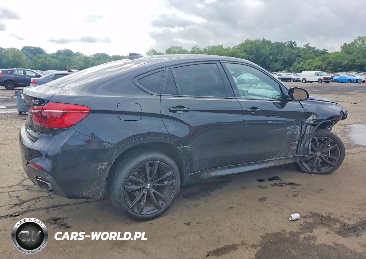 2017 BMW X6 xDrive35I VIN:5UXKU2C3XH0U29381 - 3