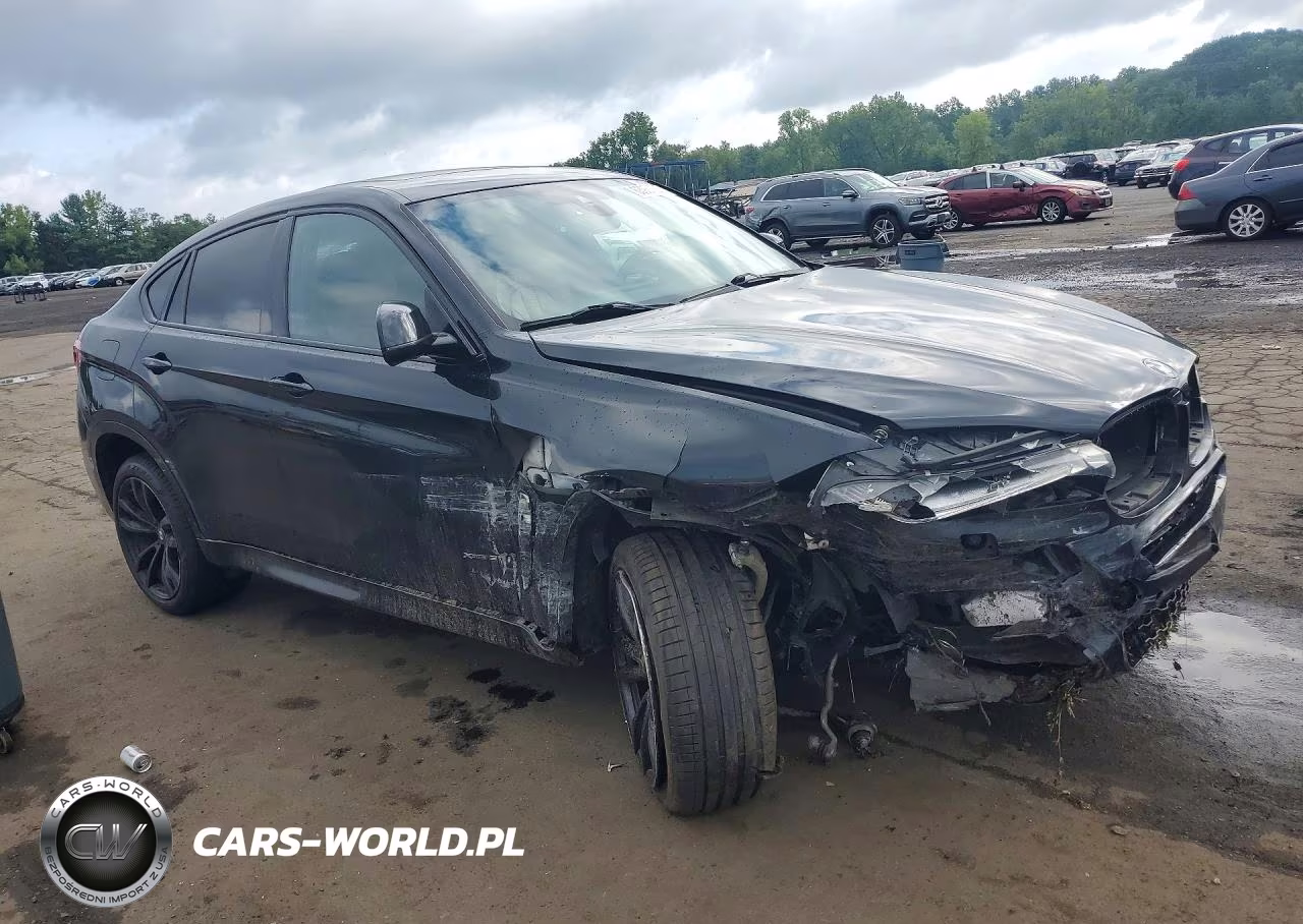 2017 BMW X6 xDrive35I VIN:5UXKU2C3XH0U29381 - 4