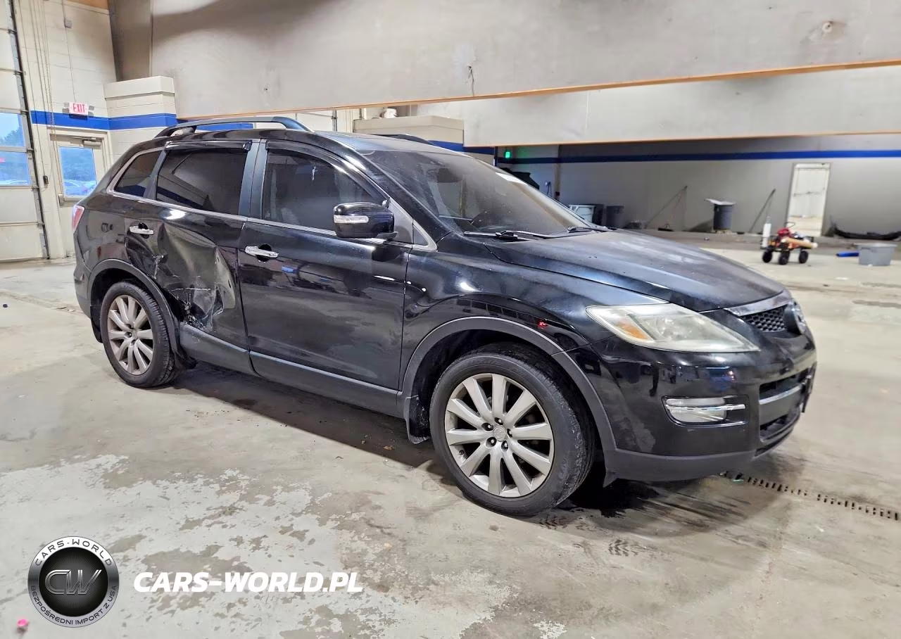 2009 Mazda Cx-9 VIN:JM3TB28A690175583 - 4