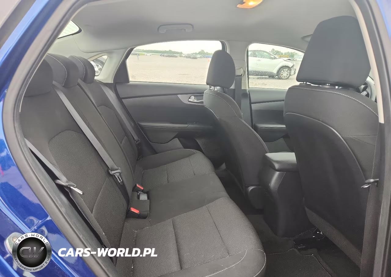 2019 Kia Forte Lxs VIN:3KPF24AD7KE116285 - 10