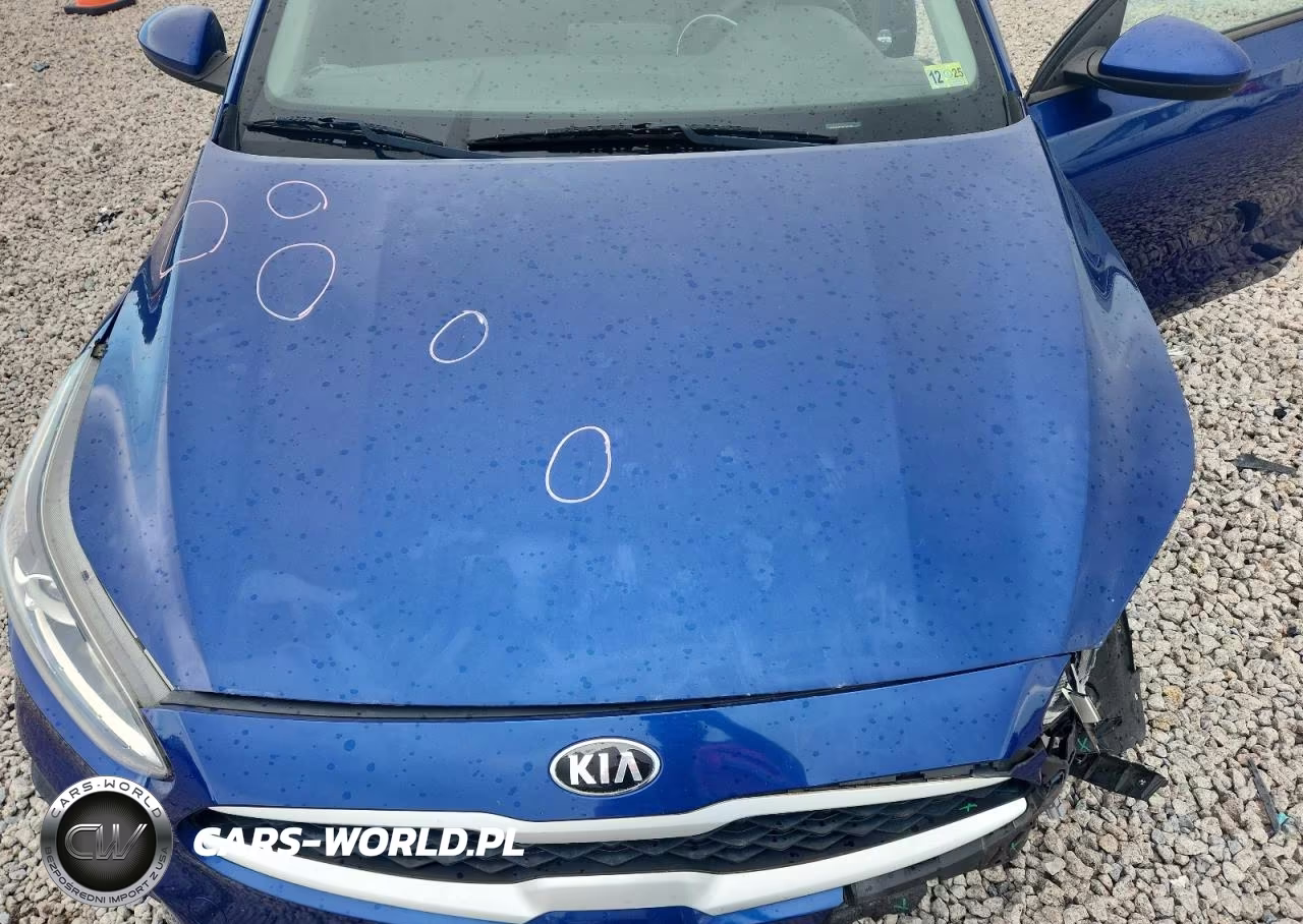2019 Kia Forte Lxs VIN:3KPF24AD7KE116285 - 11