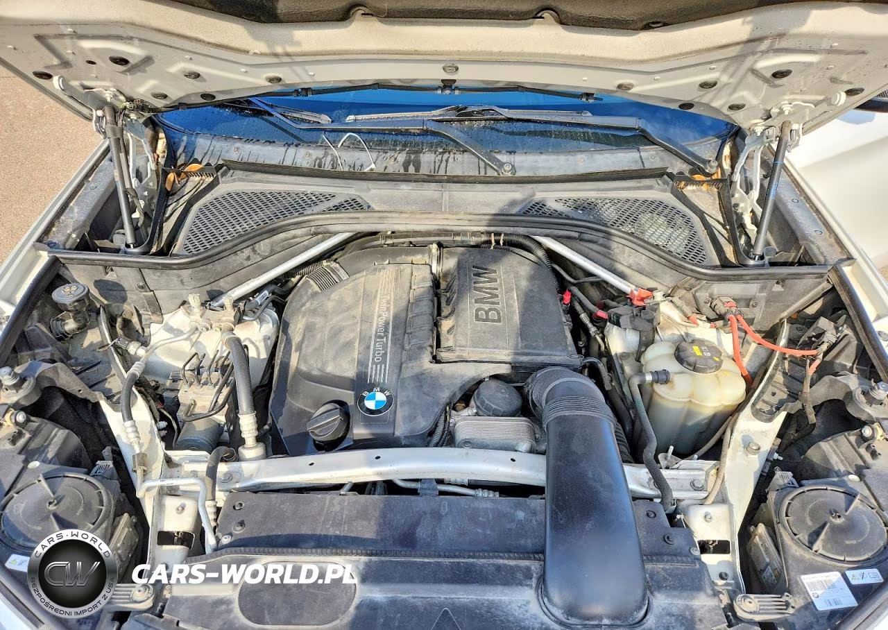 2017 BMW X6 VIN:5UXKU0C56H0F99701 - 11