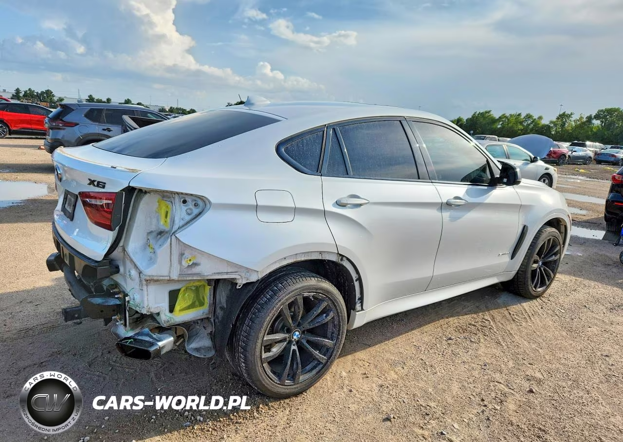 2017 BMW X6 VIN:5UXKU0C56H0F99701 - 3