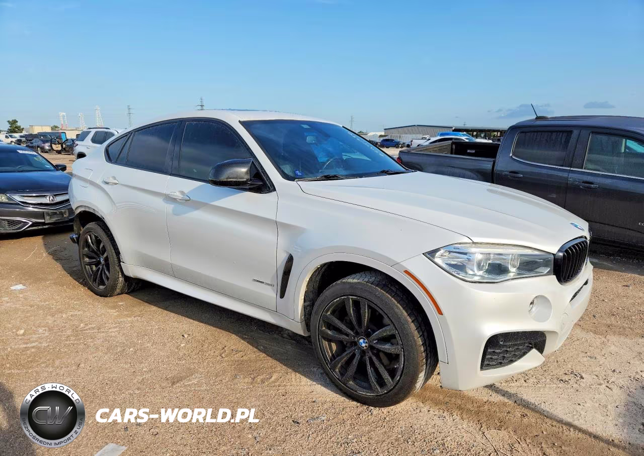 2017 BMW X6 VIN:5UXKU0C56H0F99701 - 4