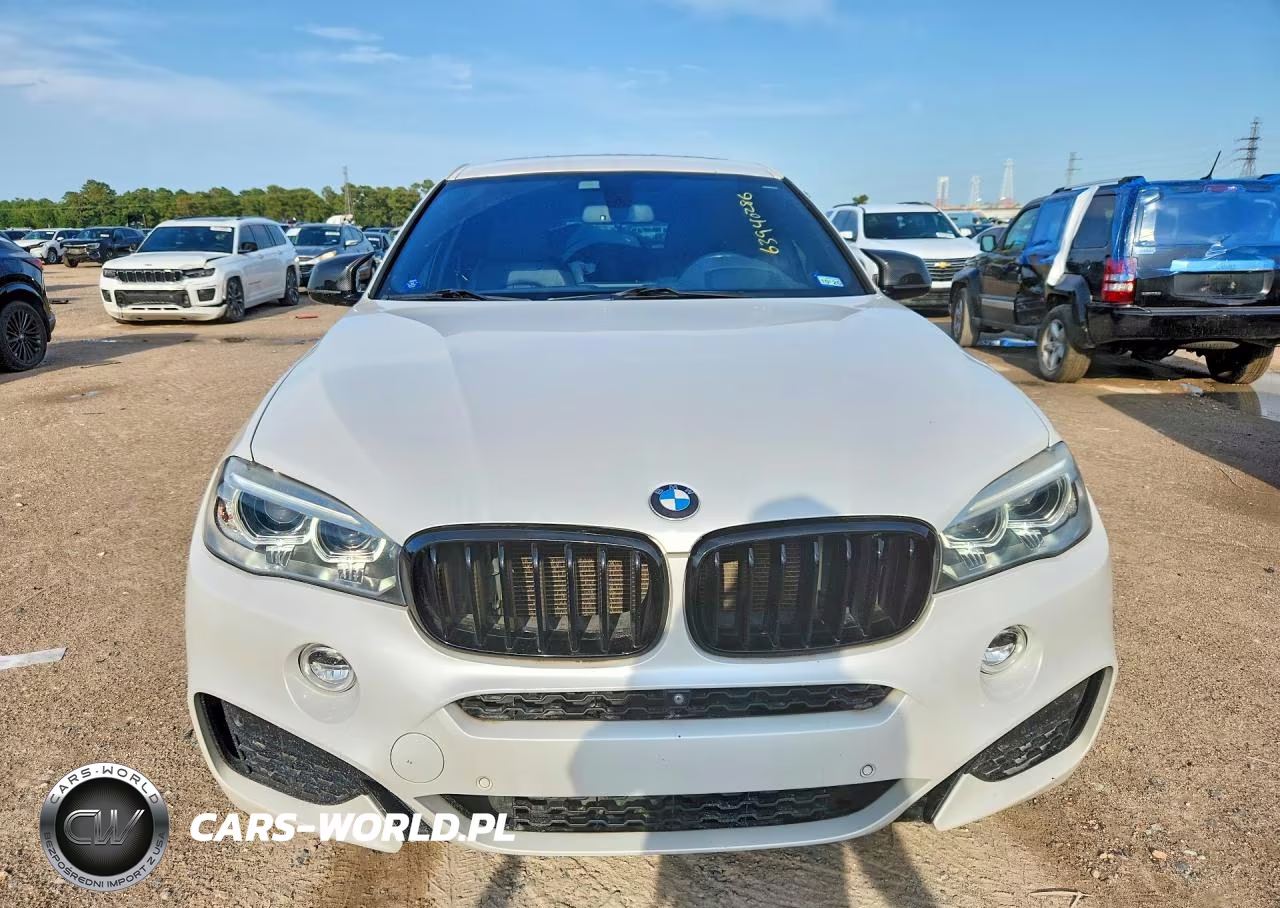 2017 BMW X6 VIN:5UXKU0C56H0F99701 - 5