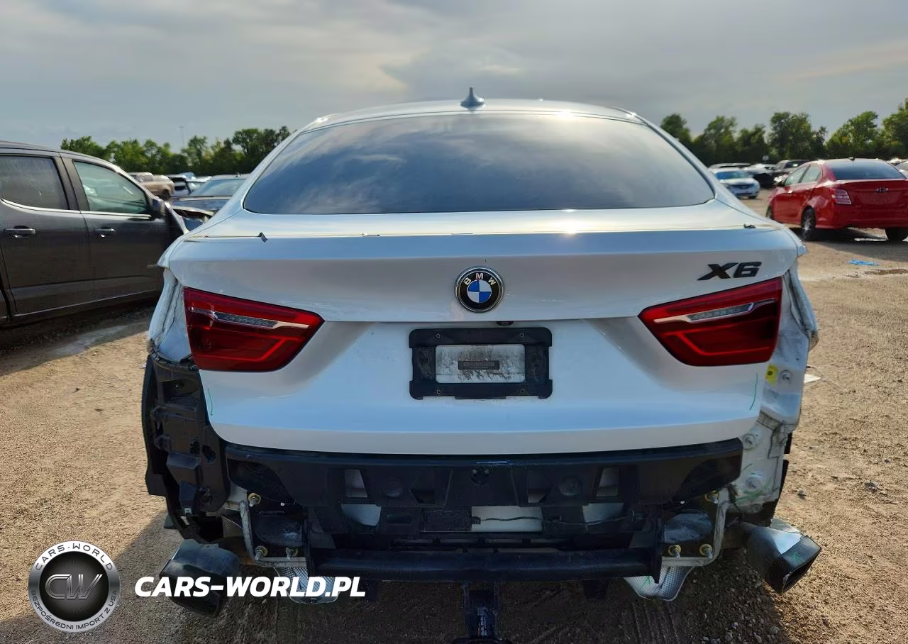 2017 BMW X6 VIN:5UXKU0C56H0F99701 - 6