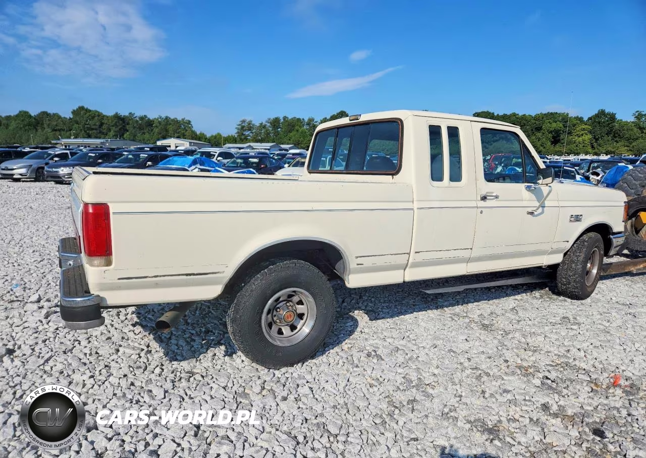 1990 Ford F150 VIN:1FTEX15H1LKA80066 - 3