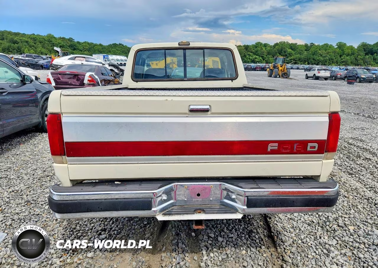 1990 Ford F150 VIN:1FTEX15H1LKA80066 - 6