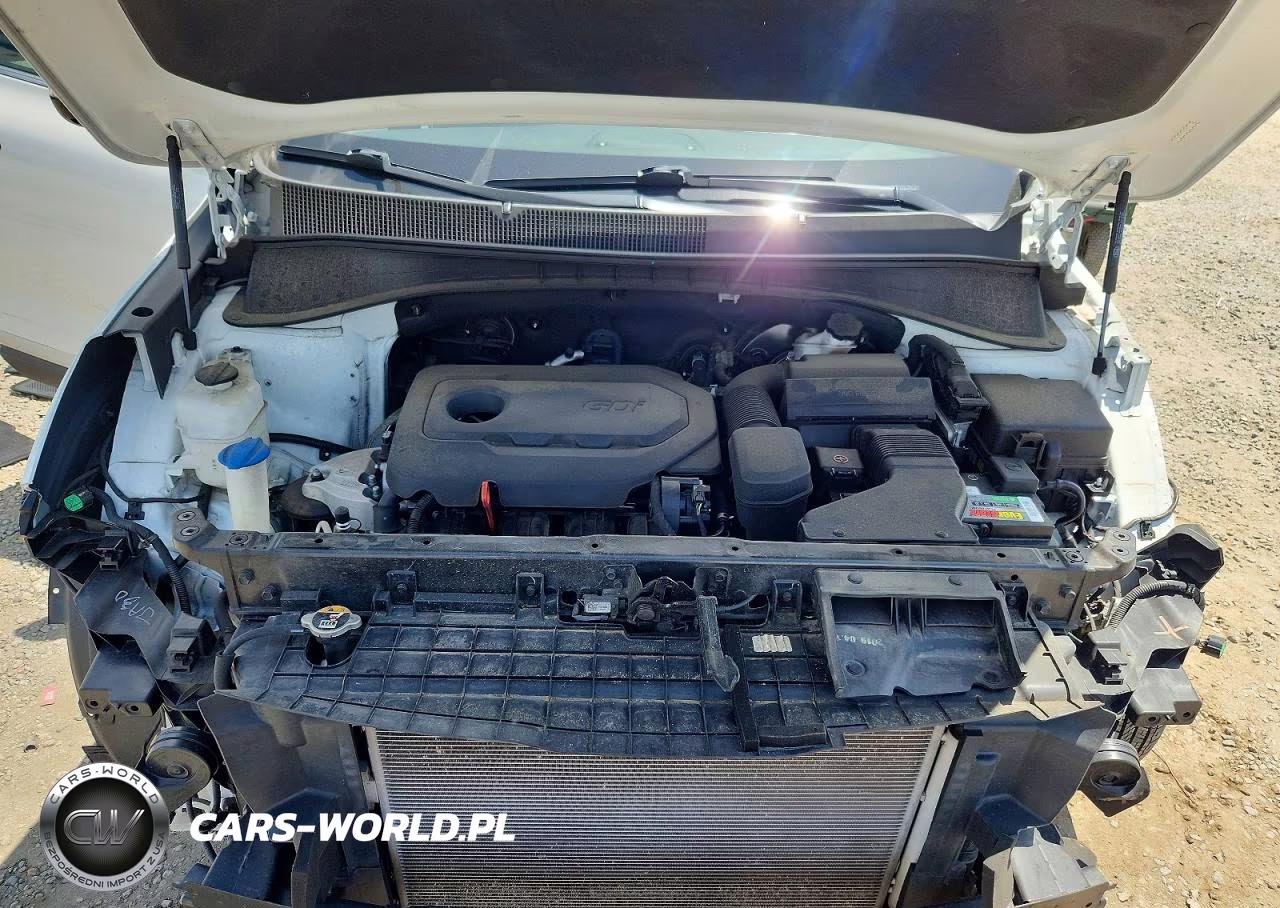 2019 Kia Sorento L VIN:5XYPG4A31KG611131 - 12