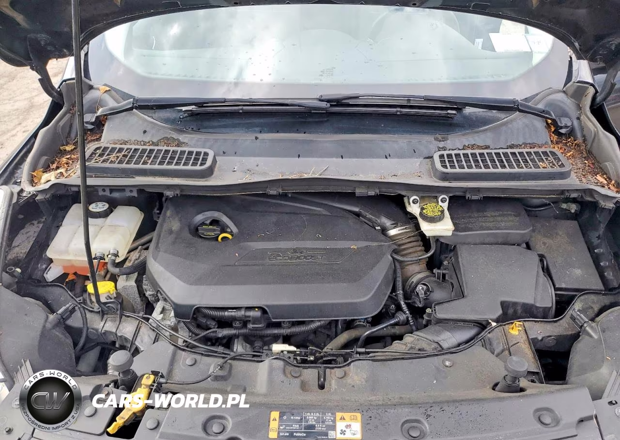2014 Ford Escape Se VIN:1FMCU9GX0EUE38456 - 12