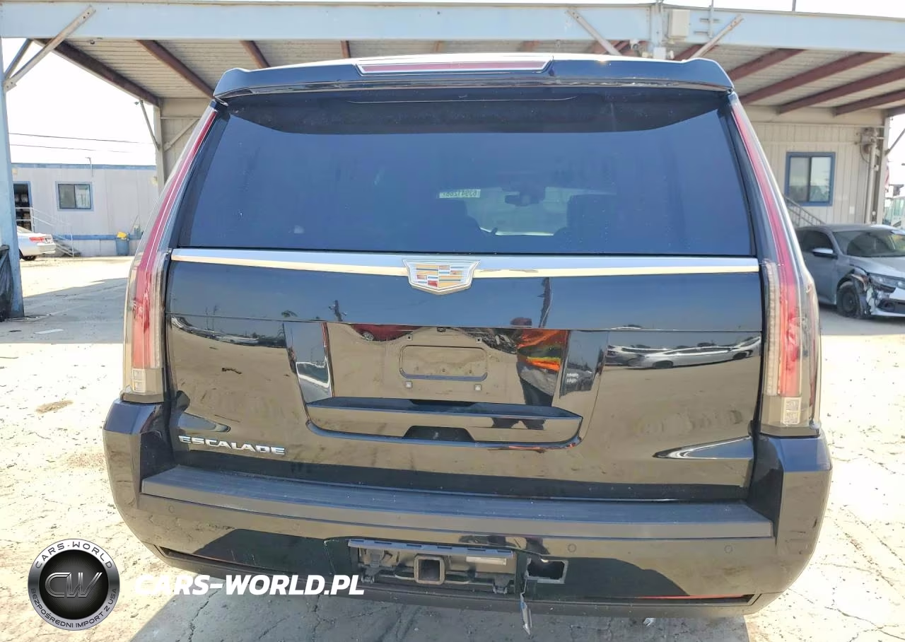 2016 Cadillac Escalade Esv Platinum VIN:1GYS4KKJXGR123531 - 6