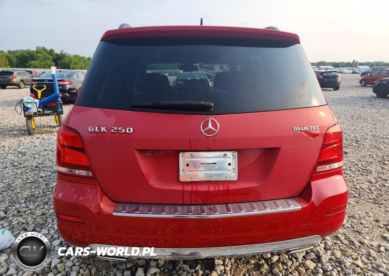 2014 Mercedes-Benz Glk 250 Bluetec VIN:WDCGG0EB5EG217587 - 6