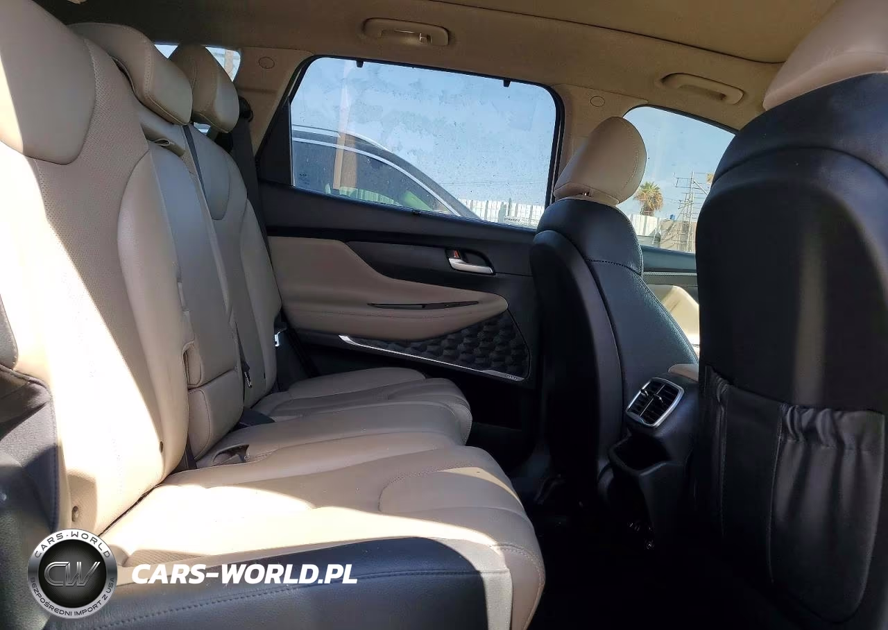 2019 Hyundai Santa Fe Limited 2.0T VIN:5NMS53AA9KH037330 - 11