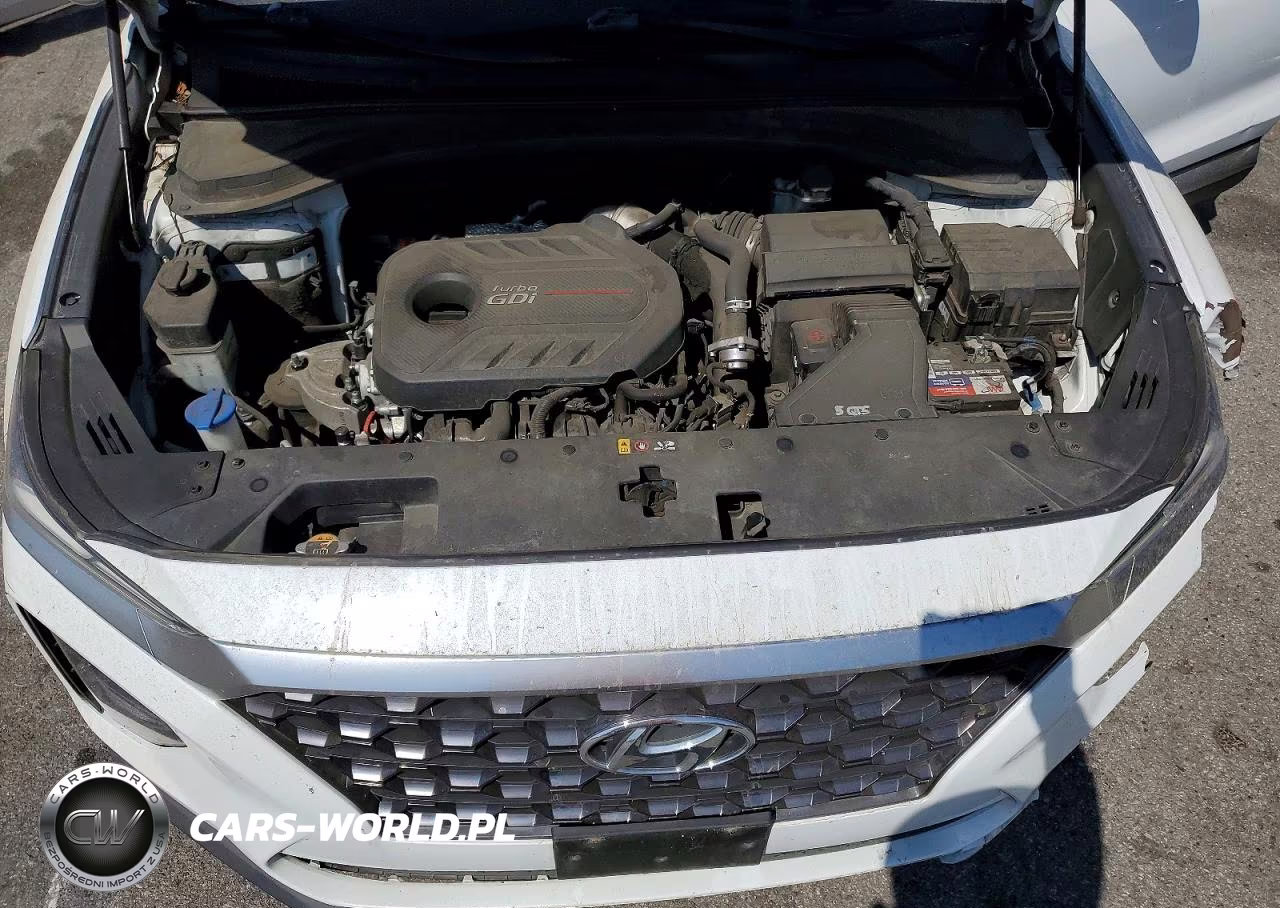 2019 Hyundai Santa Fe Limited 2.0T VIN:5NMS53AA9KH037330 - 12