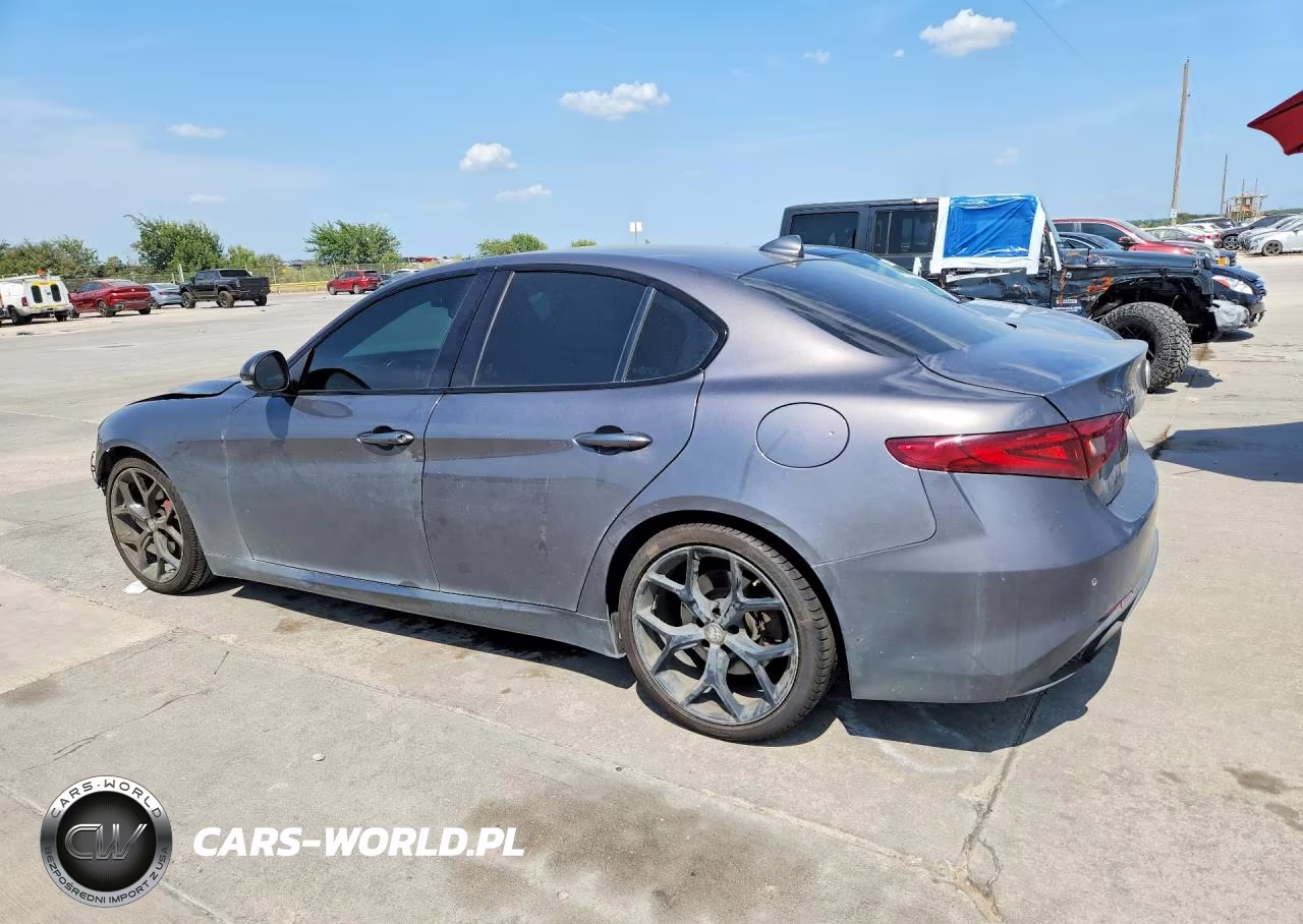 2020 Alfa Romeo Giulia VIN:ZARFAMAN7L7624663 - 2