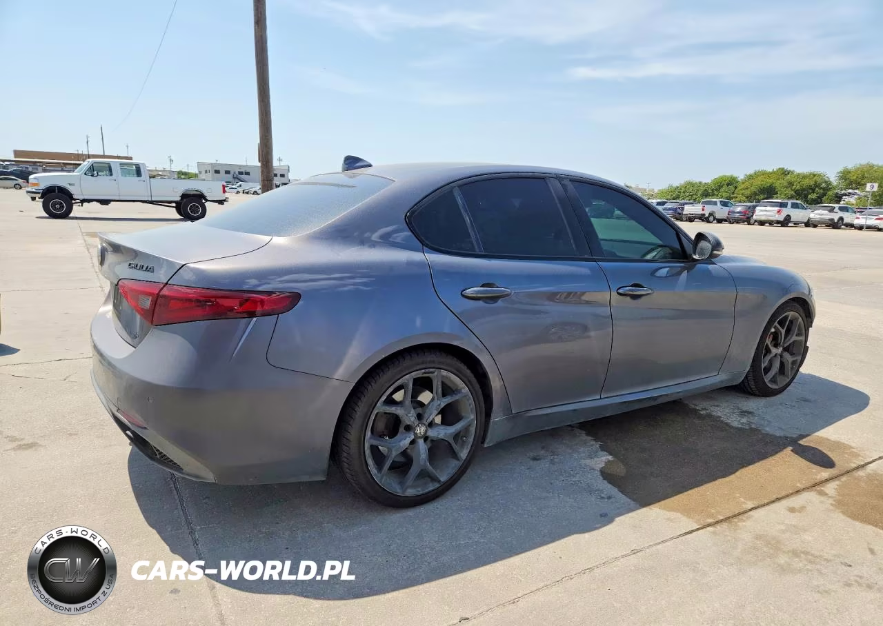 2020 Alfa Romeo Giulia VIN:ZARFAMAN7L7624663 - 3