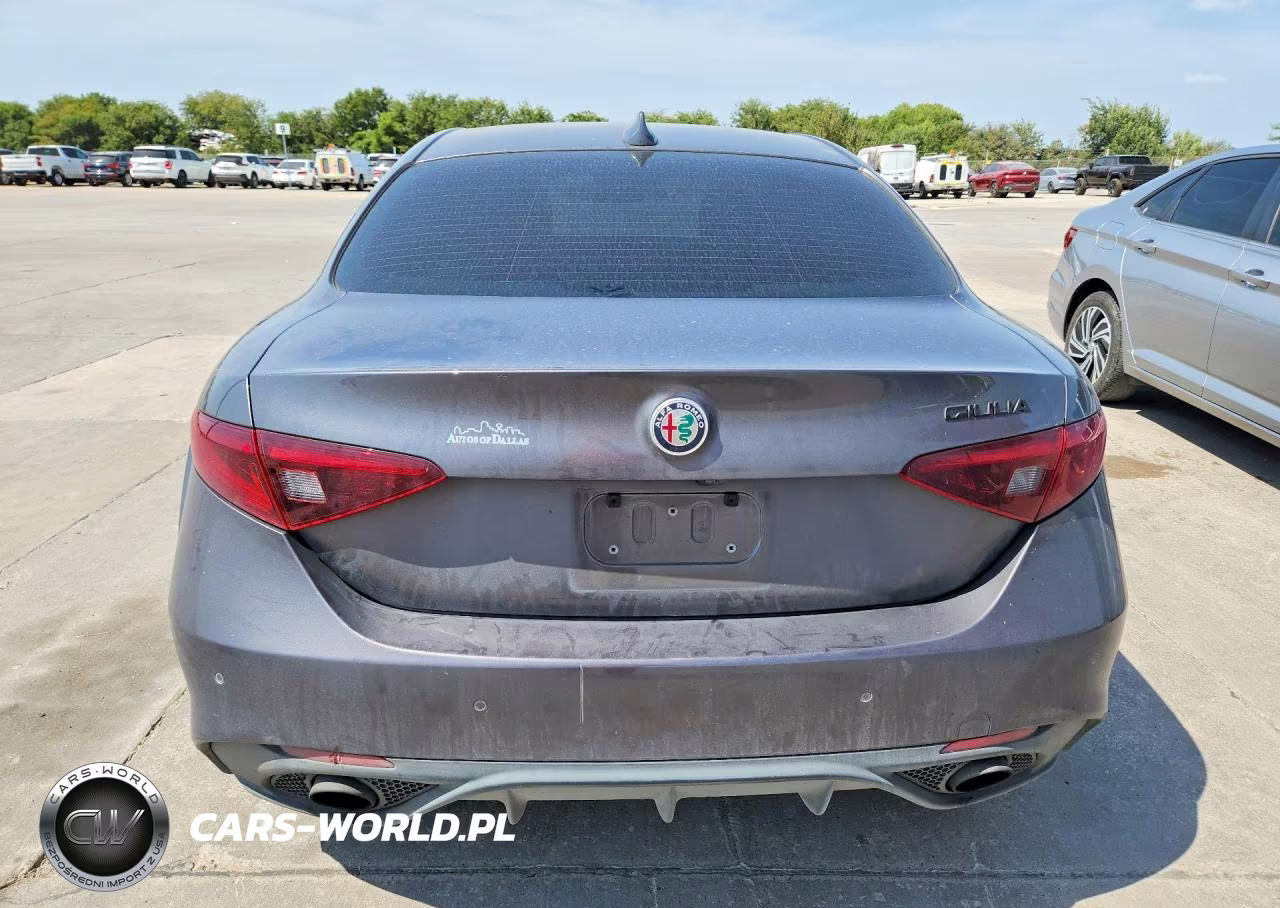 2020 Alfa Romeo Giulia VIN:ZARFAMAN7L7624663 - 6