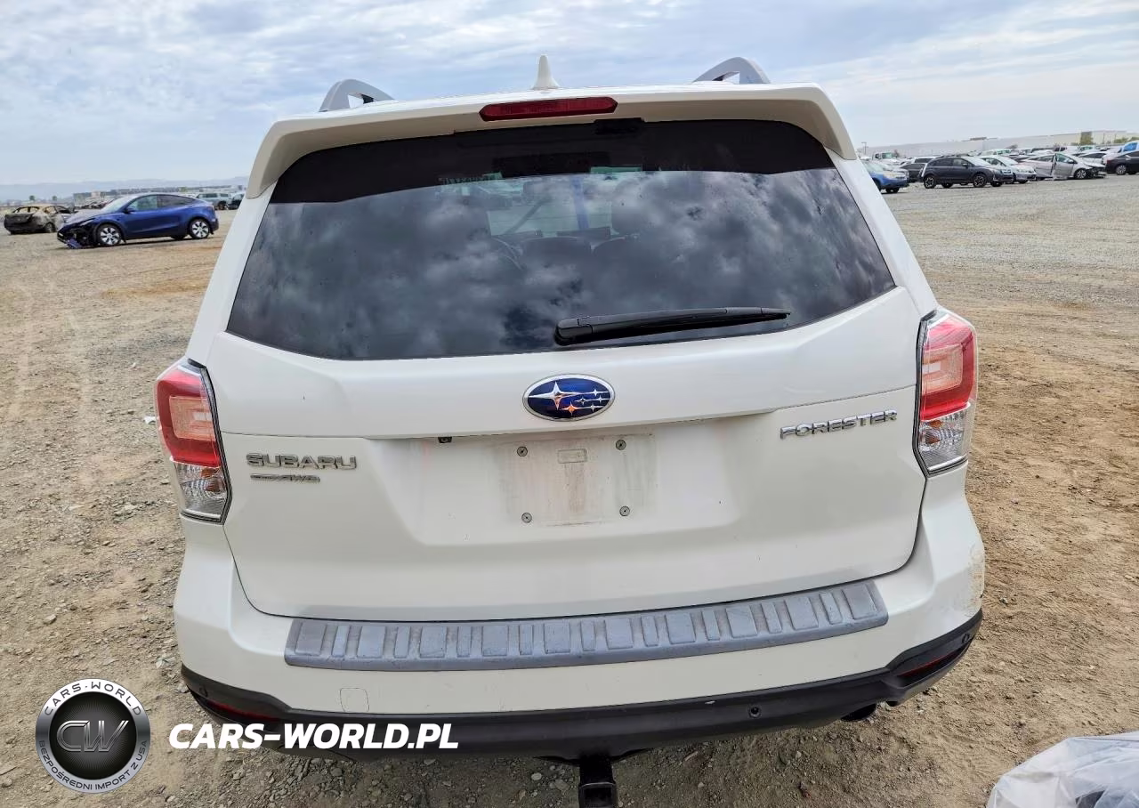 2018 Subaru Forester 2.5I Touring VIN:JF2SJAWC4JH407353 - 6