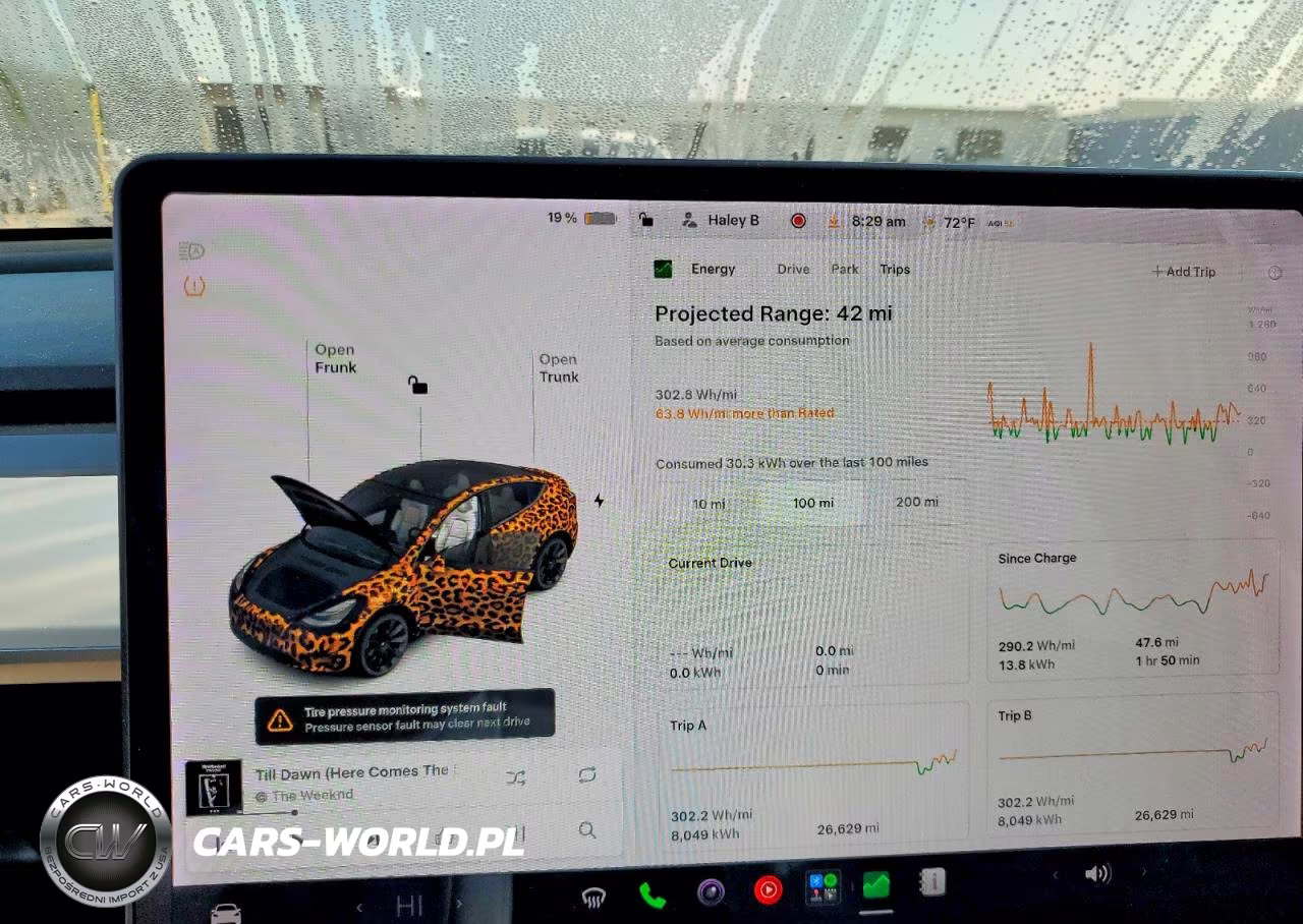 2021 Tesla Model Y VIN:5YJYGDEE6MF120323 - 9