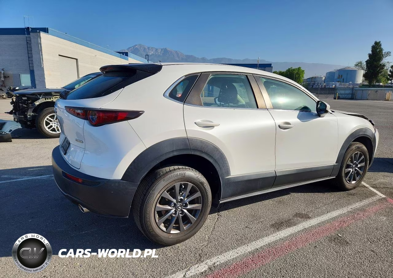 2021 Mazda Cx-30 VIN:3MVDMAAL6MM215100 - 3