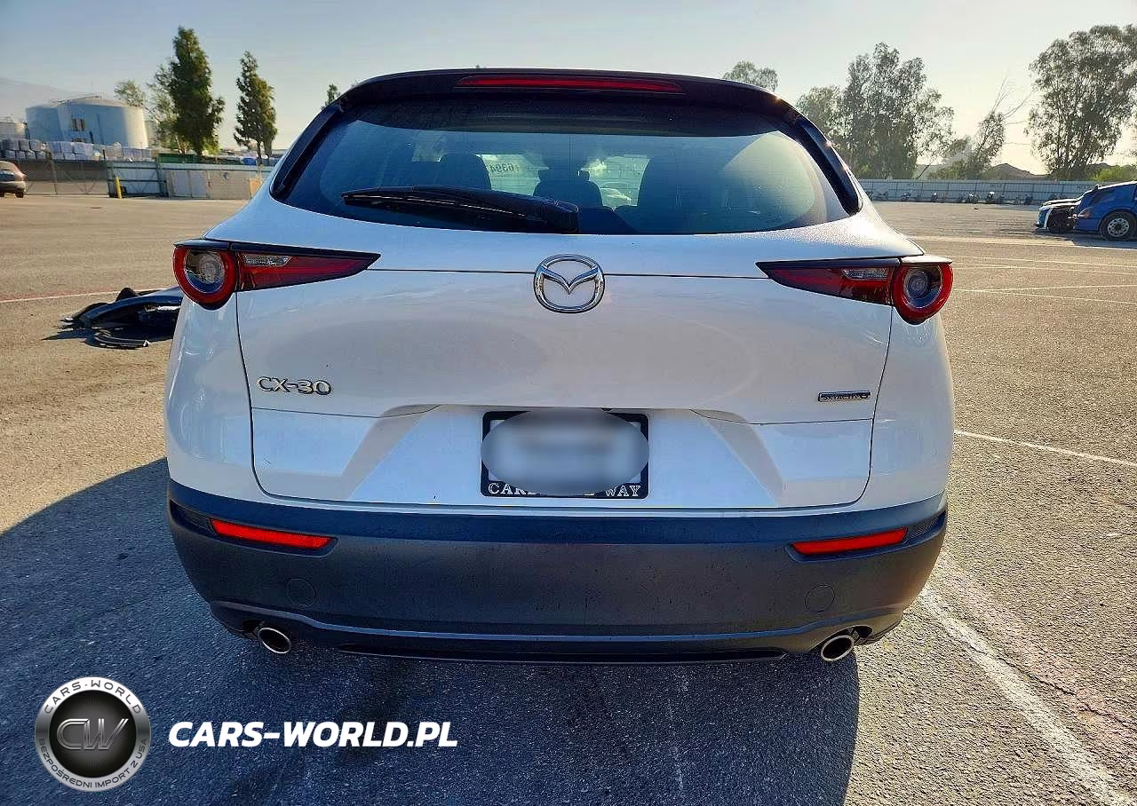 2021 Mazda Cx-30 VIN:3MVDMAAL6MM215100 - 6