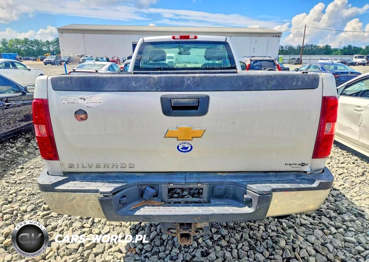2013 Chevrolet Silverado C2500 Heavy Duty VIN:1GC0CVCG6DF224342 - 6