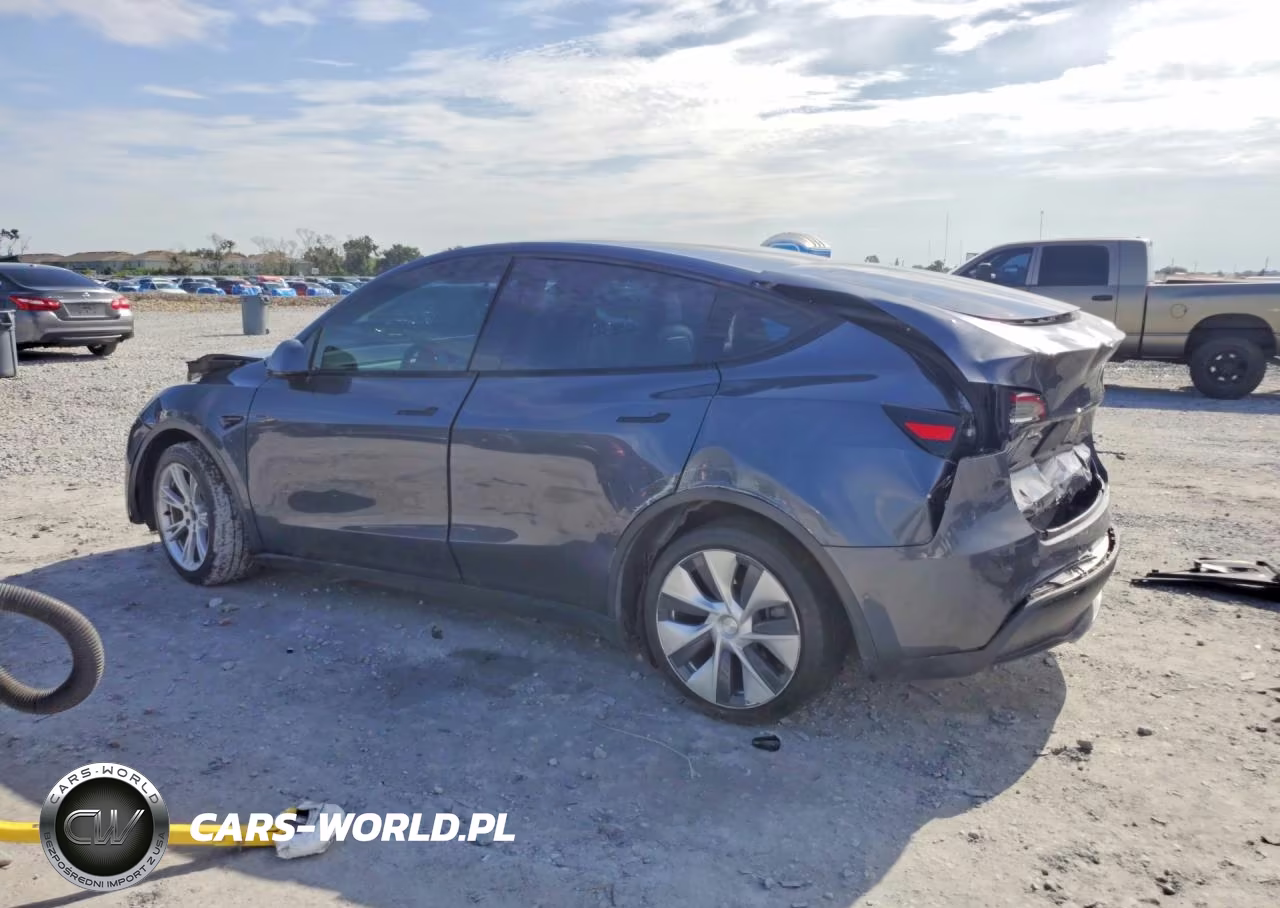 2020 Tesla Model Y VIN:5YJYGDEE4LF047032 - 2