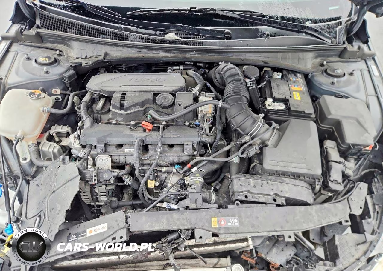 2023 Hyundai Elantra N Line VIN:KMHLR4AF5PU581989 - 11