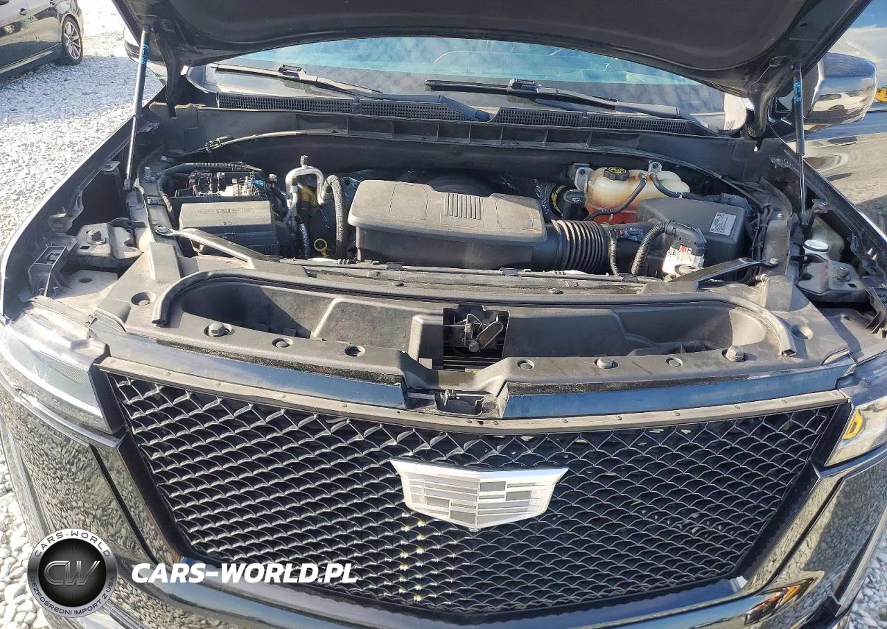 2021 Cadillac Escalade Esv Sport Platinum VIN:1GYS4RKL7MR431391 - 12