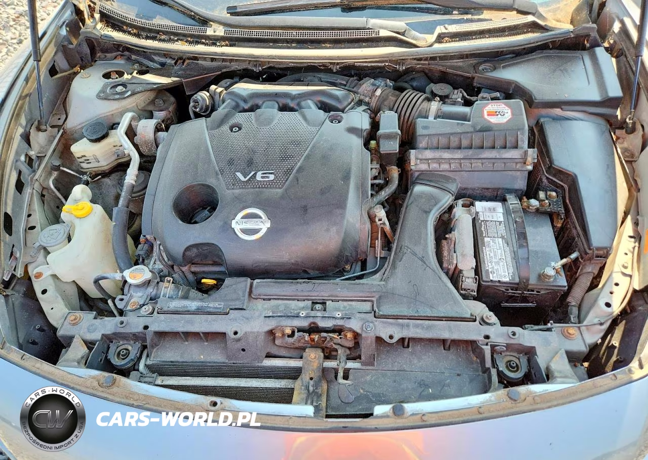 2009 Nissan Maxima 3.5 S VIN:1N4AA51E09C855212 - 11