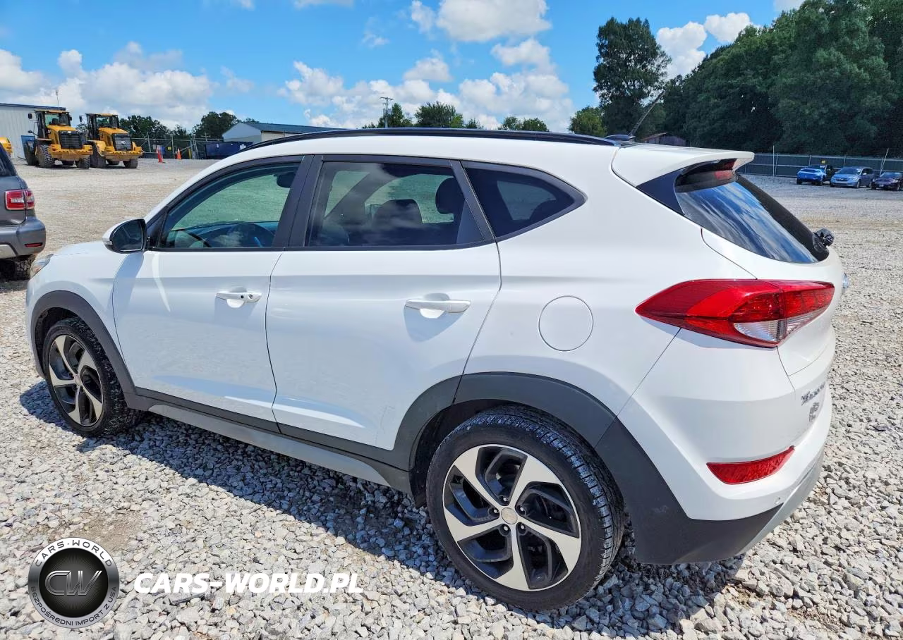 2017 Hyundai Tucson Value VIN:KM8J3CA20HU573638 - 2