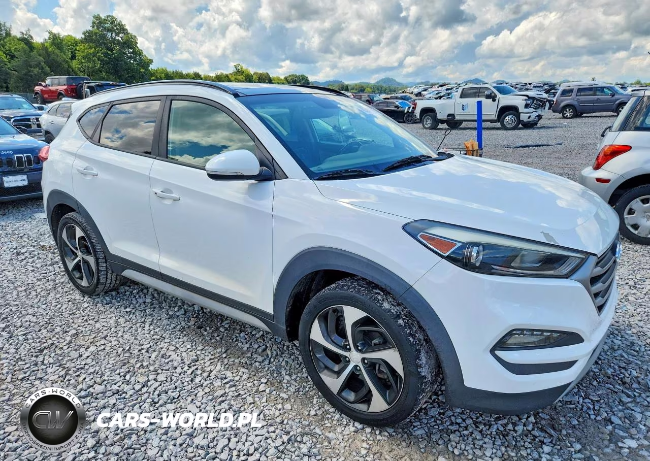 2017 Hyundai Tucson Value VIN:KM8J3CA20HU573638 - 4