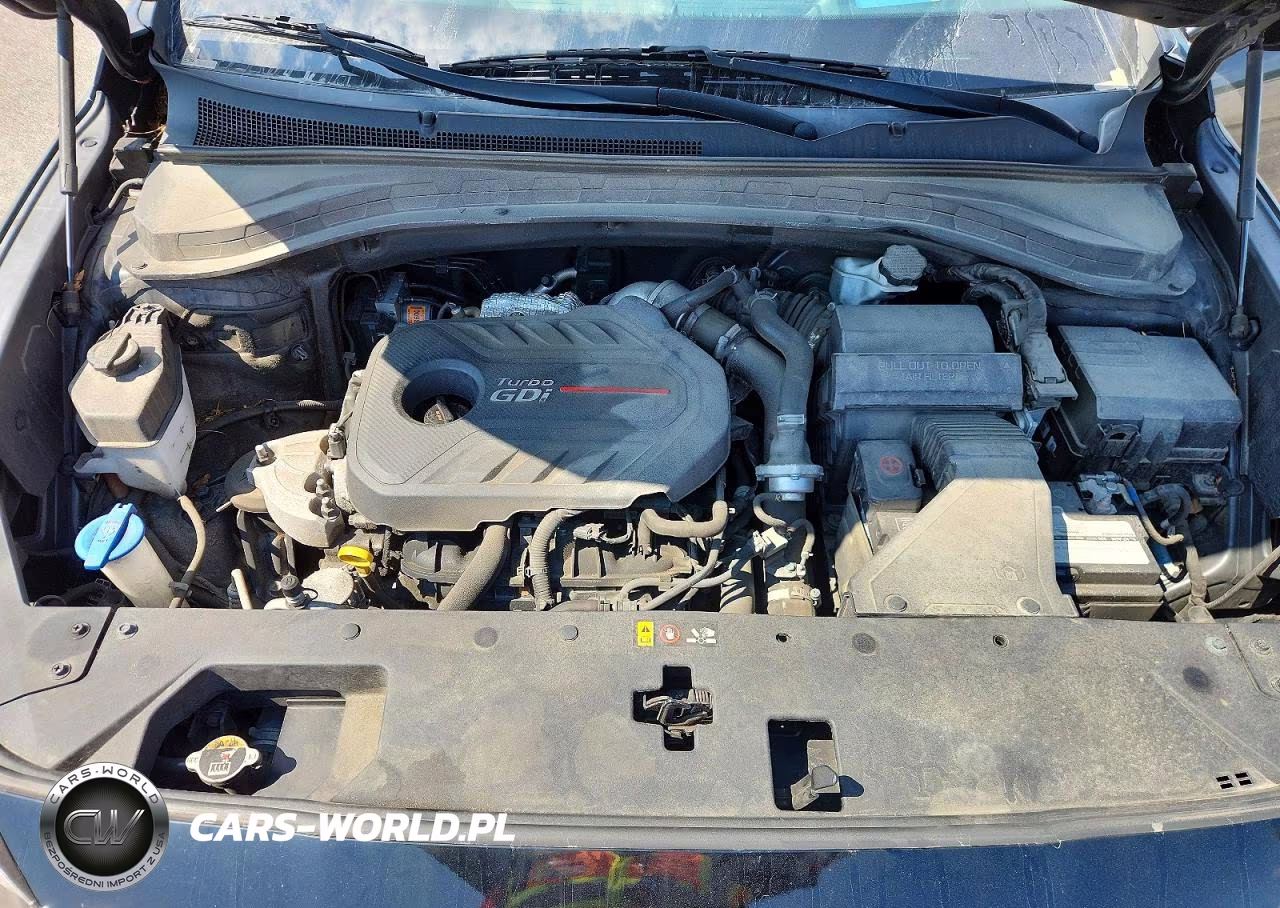 2020 Hyundai Santa Fe Limited 2.0T VIN:5NMS53AA5LH200914 - 12