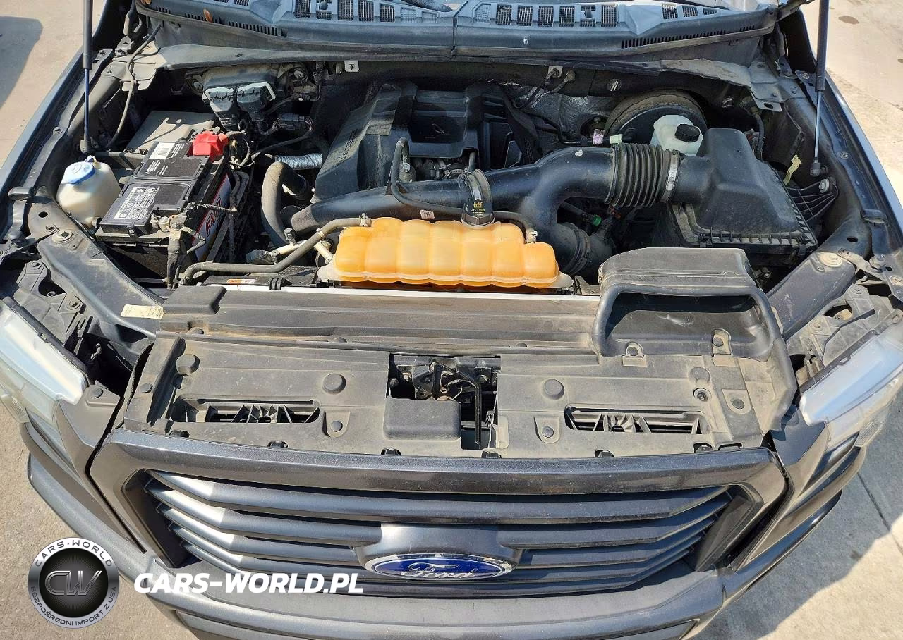 2016 Ford F150 Supercrew VIN:1FTEW1CP6GKF16283 - 11